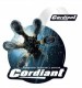������ Cordiant