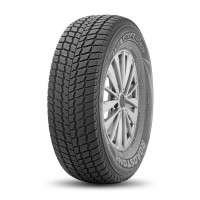 Roadstone() Winguard SUV